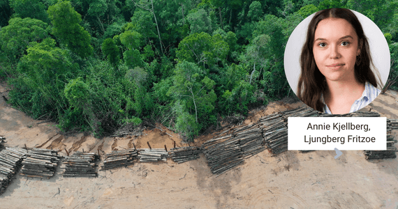 EUDR ställer nya krav på bygghandeln – det här behöver du veta
 EUDR ställer nya krav på bygghandeln – det här behöver du veta