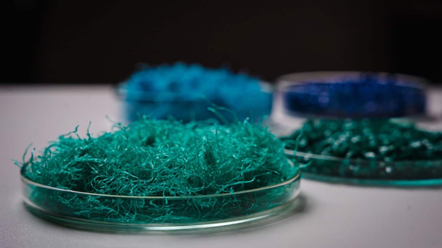 Rise vill hjälpa industrin med att få rätt plast på rätt ställe. Foto Rise