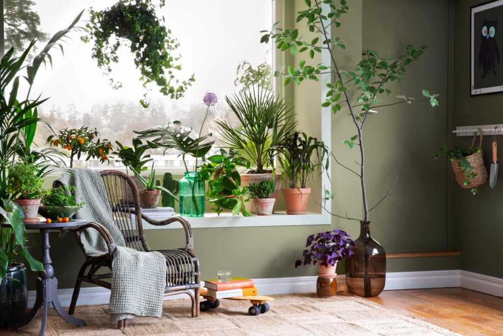 Lycke Färg presenterar en ny färgkarta med 40 hållbara kulörer för tidlösa och personliga rum.