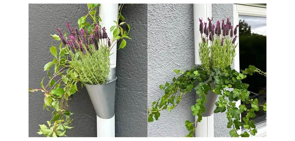 Plannja får stuprören att grönska Tack vare Plannjas stuprörsodling kan husfasaderna både blomma och bidra med hälsosam mat. Foto Plannja